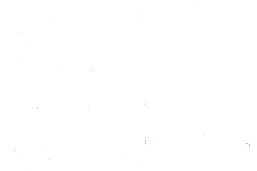 Image 30